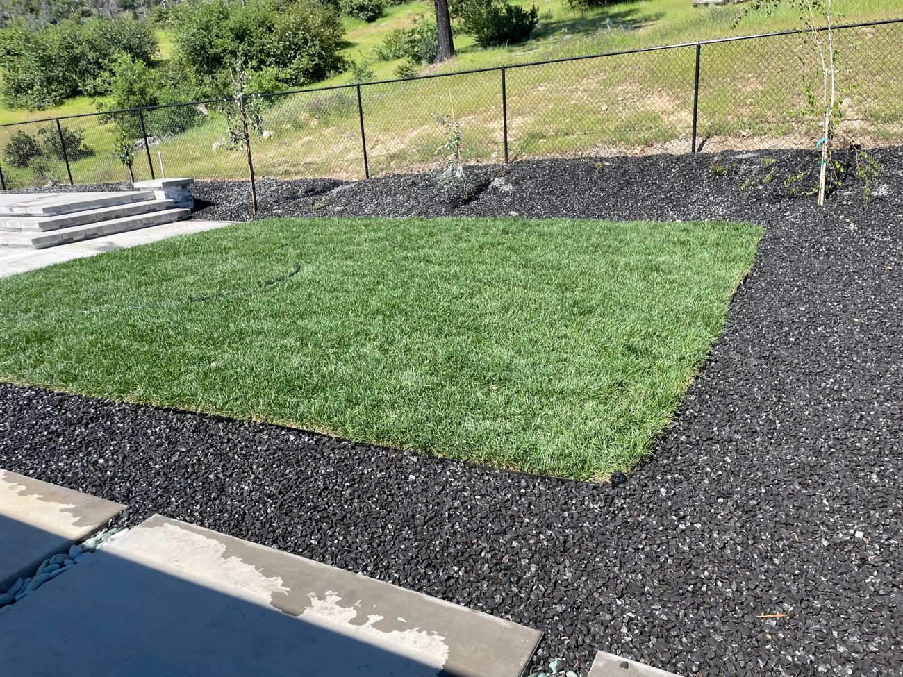 Fresh sod lawn bordered by rock mulch in a Colorado backyard
